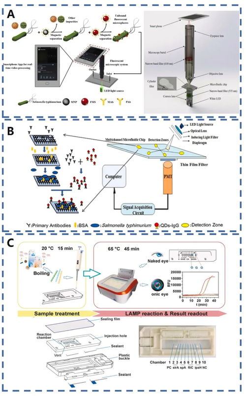 熒光微流控與信息技術融合 食品安全分析的新范式