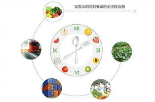 燃油車時(shí)代謝幕，物聯(lián)網(wǎng)如何重塑農(nóng)產(chǎn)品產(chǎn)銷新生態(tài)
